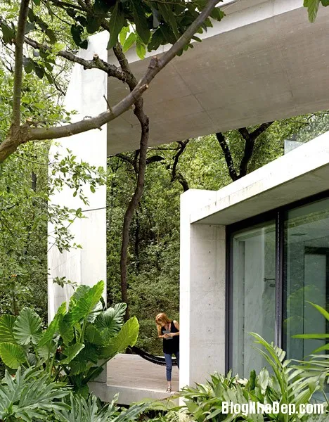 Thiet ke kien truc Casa Monterrey Tadao Ando Mexico 19 Biệt thự ba tầng được thiết kế bởi Tadao Ando